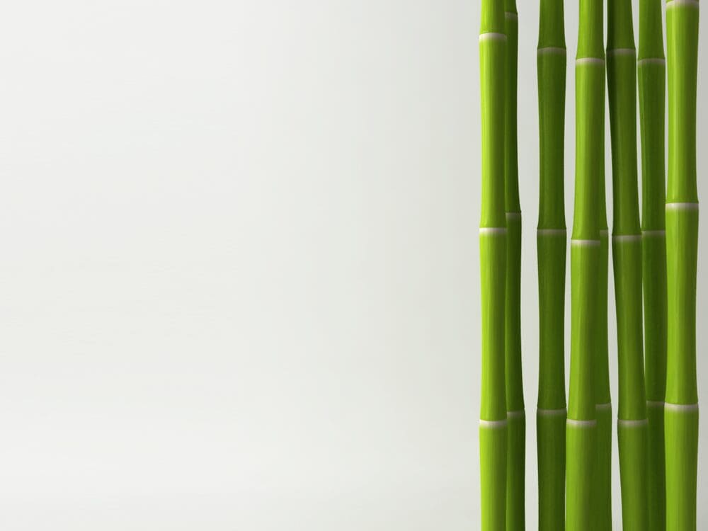 sticks of bamboo